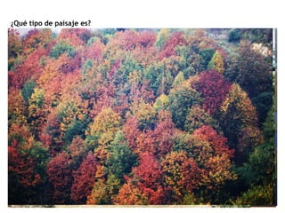 ¿Qué tipo de paisaje es? 
 