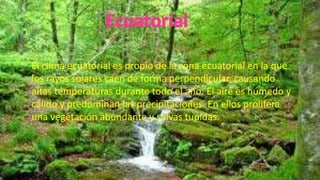 El clima ecuatorial es propio de la zona ecuatorial en la que
los rayos solares caen de forma perpendicular, causando
altas temperaturas durante todo el año. El aire es húmedo y
cálido y predominan las precipitaciones. En ellos prolifera
una vegetación abundante y selvas tupidas.
 
