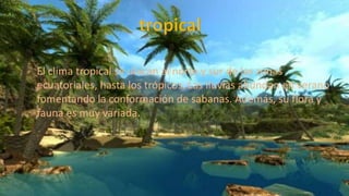 El clima tropical se ubican al norte y sur de las zonas
ecuatoriales, hasta los trópicos. Las lluvias abundan en verano
fomentando la conformación de sabanas. Además, su flora y
fauna es muy variada.
 