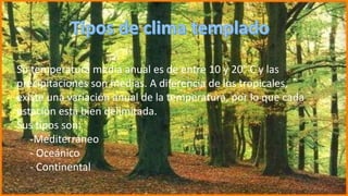 Su temperatura media anual es de entre 10 y 20° C y las
precipitaciones son medias. A diferencia de los tropicales,
existe una variación anual de la temperatura, por lo que cada
estación está bien delimitada.
Sus tipos son:
-Mediterráneo
- Oceánico
- Continental
 