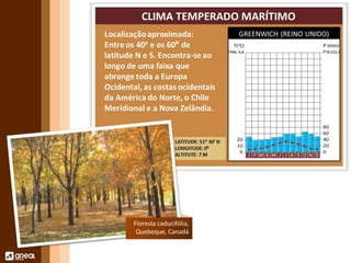 Floresta caducifólia, 
Quebeque, Canadá 
 