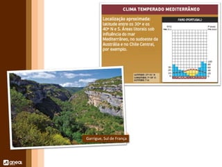 Garrigue, Sul de França 
 