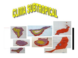 CLIMA SUBTROPICAL  