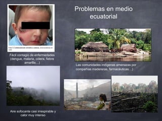 Problemas en medio
ecuatorial
Aire sofocante casi irrespirable y
calor muy intenso
Fácil contagio de enfermedades
(dengue, malaria, cólera, fiebre
amarilla…)
Las comunidades indígenas amenazas por
compañías madereras, farmacéuticas…)
 