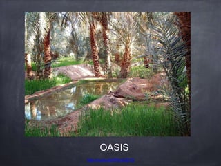 OASIS
http://youtu.be/tIRtmI2ZjYQ
 