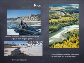 Ríos
Estos ríos se localizan en áreas como
Siberia, norte de Canadá y Alaska.
Durante el invierno quedan cubiertos con una
capa de hielo de gran grosor.
Comienza el deshielo
 