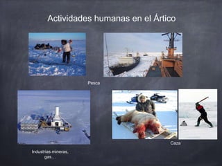 Actividades humanas en el Ártico
Pesca
Caza
Industrias mineras,
gas…
 