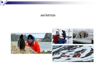 ANTÁRTIDA
 
