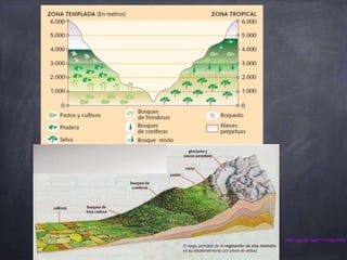 Cliserie de vegetación de montaña
http://youtu.be/lY7vVzyn7hQ
 