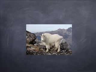 Climas y paisajes 2017