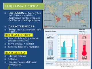 1.1.B) CLIMA TROPICAL
 EXTENSIÓN: al Norte y Sur
del clima ecuatorial y
delimitado por los Trópicos
de Cáncer y de Capricornio
 CARACTERÍSTICAS:
 Temp: muy altas todo el año
(>18ºC)
TROPICAL LLUVIOSO:
 Estación húmeda y estación
seca (estacionales).
 Selva tropical + sabana
 Rios caudalosos y regulares
TROPICAL SECO:
 Lluvias escasas
 Sabana
 Rios menos caudalosos e
irregulares.
 