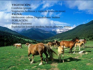  VEGETACIÓN:
Coníferas (pinos)
Vegetación herbácea y rupícola (crece en rocas)
 FAUNA:
Herbívoros: cabras. Depredadores: buitres
 POBLACIÓN:
Escasa (Pastores)
Explotación forestal: madera, bayas, piñones, resina.
 