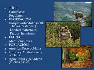  RÍOS
Caudalosos
Regulares
 VEGETACIÓN
Bosque caducifolio (robles,
hayas, castaños..)
Landas: matorrales
Prados: herbáceos
 FAUNA
Mamíferos, aves..
 POBLACIÓN:
 América :Poco poblada
 Europa y Australia muy
poblada
 Agricultura y ganadería
(buenos pastos)
 