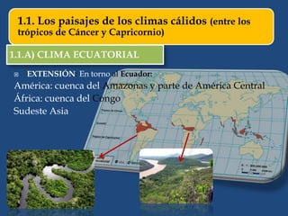 1.1. Los paisajes de los climas cálidos (entre los
trópicos de Cáncer y Capricornio)
1.1.A) CLIMA ECUATORIAL
 EXTENSIÓN: En torno al Ecuador:
América: cuenca del Amazonas y parte de América Central
África: cuenca del Congo
Sudeste Asia
 