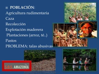  POBLACIÓN:
Agricultura rudimentaria
Caza
Recolección
Explotación maderera
Plantaciones (arroz, té..)
Pastos
PROBLEMA: talas abusivas
 