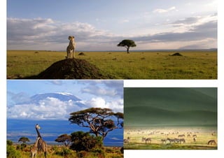 Climas y paisajes de la tierra | PDF