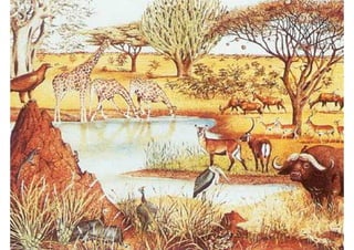 Climas y paisajes de la tierra | PDF