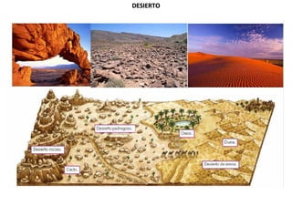 Climas y paisajes de la tierra | PDF