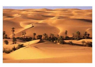 Climas y paisajes de la tierra | PDF