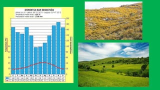CLIMAS Y PAISAJES DE LA TIERRA 3º ESO | PPTX