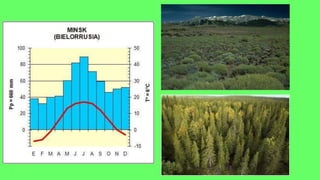 CLIMAS Y PAISAJES DE LA TIERRA 3º ESO | PPTX