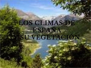 LOS CLIMAS DE ESPAÑA Y SU VEGETACIÓN 