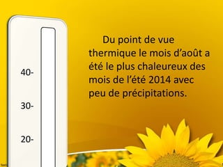 Du point de vue
thermique le mois d’août a
été le plus chaleureux des
mois de l’été 2014 avec
peu de précipitations.
40-
30-
20-
 