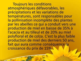 Toujours les conditions
atmosphériques défavorables, les
précipitations et les variations de
températures, sont responsables pour
la pollinisation incomplète des plantes
par les abeilles ce qui a conduit vers une
production de miel en baisse de 35% à
l’acacia et au tilleul et de 20% au miel
polyfloral et de colza. C’est la plus faible
production de miel des derniers 50 ans,
fait qui aura comme conséquence la
croissance du prix de 15%.
 