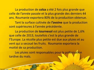 La production de colza a été 2 fois plus grande que
celle de l’année passée et la plus grande des derniers 44
ans. Roumanie exportera 80% de la production obtenue.
Tant la surface cultivée de l’avoine que la production
sont supérieures à l’année précédente.
La production de tournesol est plus petite de 1,6%
que celle de 2013, toutefois c’est la plus grande de
l’Europe. La récolte plus petite est due aux pluies et au
vent qui a secoué les fruits. Roumanie exportera la
moitié de sa production.
Les pluies sont responsables pour la pollinisation
tardive du maïs.
 