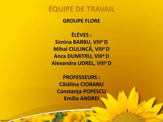 ÉQUIPE DE TRAVAIL
GROUPE FLORE
ÉLÈVES :
Simina BARBU, VIIIe D
Mihai CIULINCǍ, VIIIe D
Anca DUMITRU, VIIIe D
Alexandra UDREL, VIIIe D
PROFESSEURS :
Cătălina CIOBANU
Constanţa POPESCU
Emilia ANDREI
 