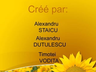 Créé par:
Timotei
VODITA
Alexandru
STAICU
Alexandru
DUTULESCU
 