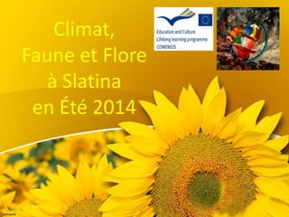 Climat,
Faune et Flore
à Slatina
en Été 2014
 