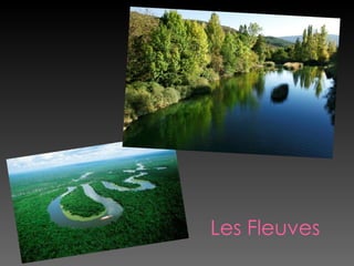 Les Fleuves
 