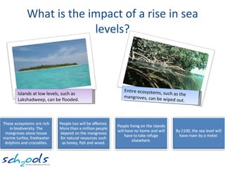 What is the impact of a rise in sea levels? Islands at low levels, such as Lakshadweep, can be flooded. Entire ecosystems, such as the mangroves, can be wiped out. 