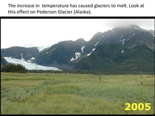 The increase in  temperature has caused glaciers to melt. Look at this effect on Pederson Glacier (Alaska). 
