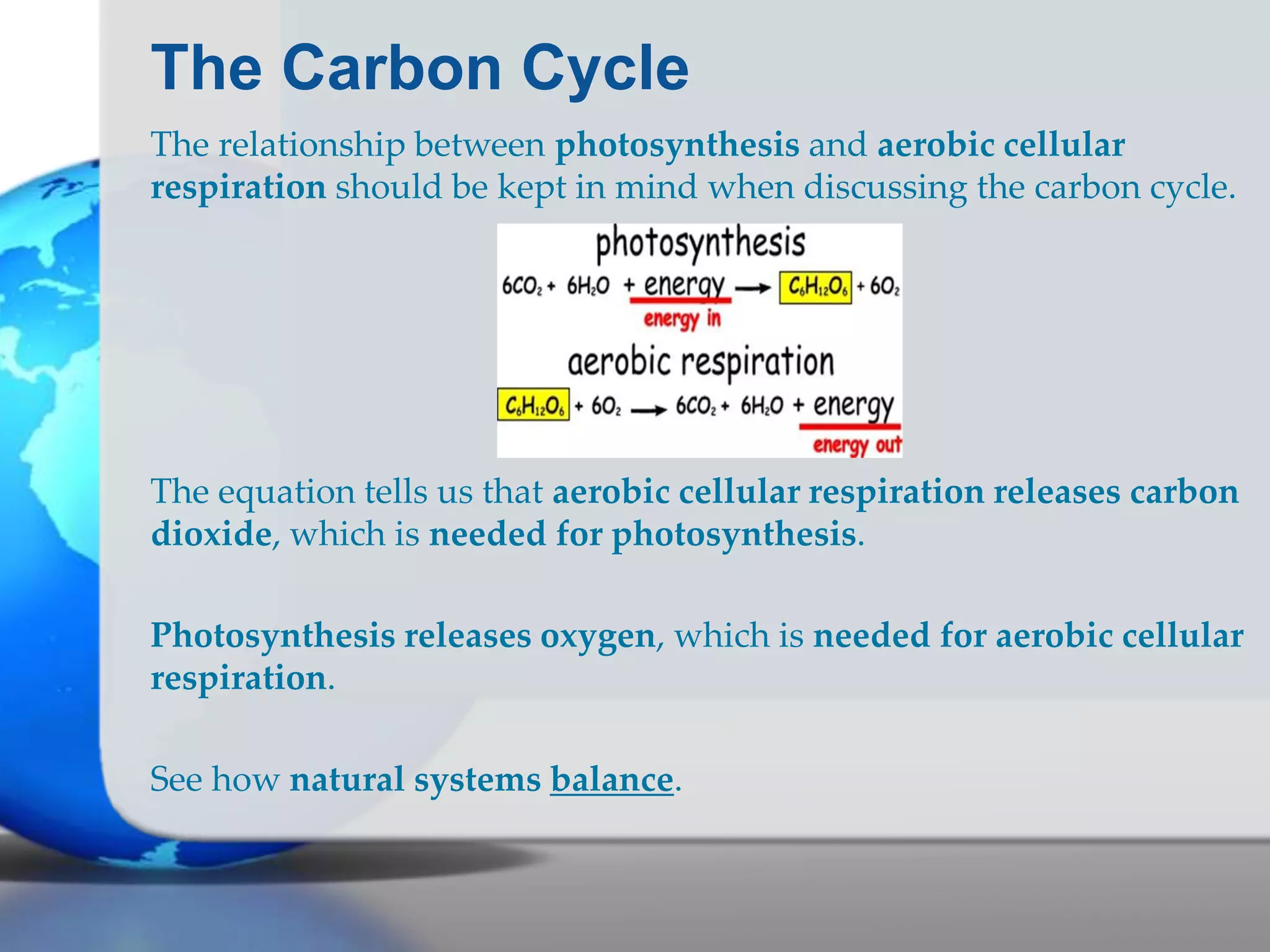 The Carbon Cycle
The relationship between photosynthesis and aerobic cellular
respiration should be kept in mind when discussing the carbon cycle.
The equation tells us that aerobic cellular respiration releases carbon
dioxide, which is needed for photosynthesis.
Photosynthesis releases oxygen, which is needed for aerobic cellular
respiration.
See how natural systems balance.
 