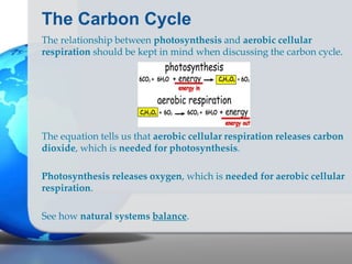 The Carbon Cycle
The relationship between photosynthesis and aerobic cellular
respiration should be kept in mind when discussing the carbon cycle.
The equation tells us that aerobic cellular respiration releases carbon
dioxide, which is needed for photosynthesis.
Photosynthesis releases oxygen, which is needed for aerobic cellular
respiration.
See how natural systems balance.
 