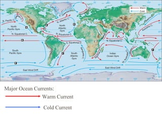 Major Ocean Currents:
               Warm Current

               Cold Current
 