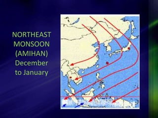 NORTHEAST 
MONSOON 
(AMIHAN) 
December 
to January 
 
