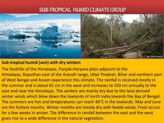 SUB-TROPICAL HUMID CLIMATE GROUP 
Sub-tropical humid (wet) with dry winters 
The foothills of the Himalayas, Punjab-Haryana plain adjacent to the 
Himalayas, Rajasthan east of the Aravalli range, Uttar Pradesh, Bihar and northern part 
ofWest Bengal and Assam experience this climate. The rainfall is received mostly in 
the summer and is about 65 cm in the west and increases to 250 cm annually to the 
east and near the Himalayas. The winters are mainly dry due to the land derived 
winter winds which blow down the lowlands of north India towards the Bay of Bengal. 
The summers are hot and temperatures can reach 46°C in the lowlands. May and June 
are the hottest months. Winter months are mostly dry with feeble winds. Frost occurs 
for a few weeks in winter. The difference in rainfall between the east and the west 
gives rise to a wide difference in the natural vegetation. 
 