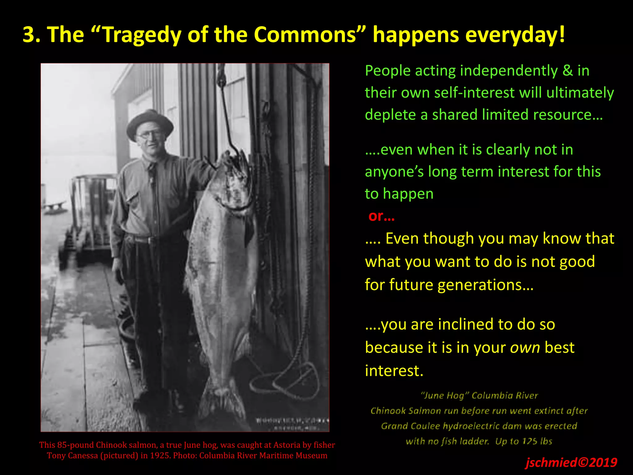 This 85-pound Chinook salmon, a true June hog, was caught at Astoria by fisher
Tony Canessa (pictured) in 1925. Photo: Columbia River Maritime Museum
3. The “Tragedy of the Commons” happens everyday!
People acting independently & in
their own self-interest will ultimately
deplete a shared limited resource…
….even when it is clearly not in
anyone’s long term interest for this
to happen
or…
…. Even though you may know that
what you want to do is not good
for future generations…
….you are inclined to do so
because it is in your own best
interest.
jschmied©2019
 