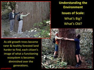 Understanding the
Environment
Issues of Scale:
What’s Big?
What’s Old?
jschmied©2019
As old growth trees become
rarer & healthy forested land
harder to find, each citizen’s
image of what a functioning
ecosystem is becomes
diminished over the
generations.
 