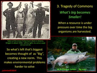 Taken at the Union Fisherman’s Dock in Astoria,
Oregon in about 1910. Left to right, the salmon weigh
116 and 121 lbs.
jschmied©2019
3. Tragedy of Commons
What’s big becomes
Smaller!
When a resource is under
pressure over time the big
organisms are harvested.
65 lb Chinook Salmon – Big now!
So what’s left that’s biggest
becomes thought of as “Big”,
creating a new norm. This
makes environmental problems
harder to solve
 