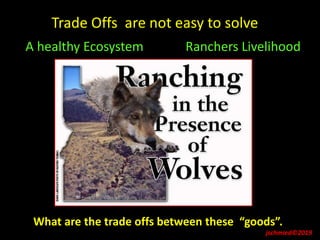 jschmied©2019
A healthy Ecosystem Ranchers Livelihood
Trade Offs are not easy to solve
What are the trade offs between these “goods”.
 
