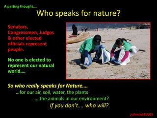 Who speaks for nature?
Senators,
Congressmen, Judges
& other elected
officials represent
people.
No one is elected to
represent our natural
world….
A parting thought….
jschmied©2019
So who really speaks for Nature….
…for our air, soil, water, the plants
…..the animals in our environment?
If you don’t…. who will?
 