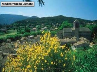 Mediterranean Climate
02-03-2015 R. Ezhilraman, PGT-Social Science 51
 