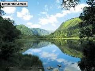 Temperate Climate
02-03-2015 R. Ezhilraman, PGT-Social Science 52
 