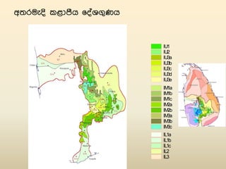 Description of the Climate in Sri Lanka (Sinhala) | PDF