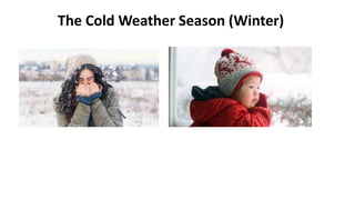 The Cold Weather Season (Winter)
 