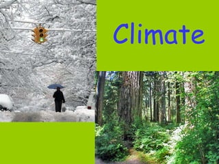 Climate
 